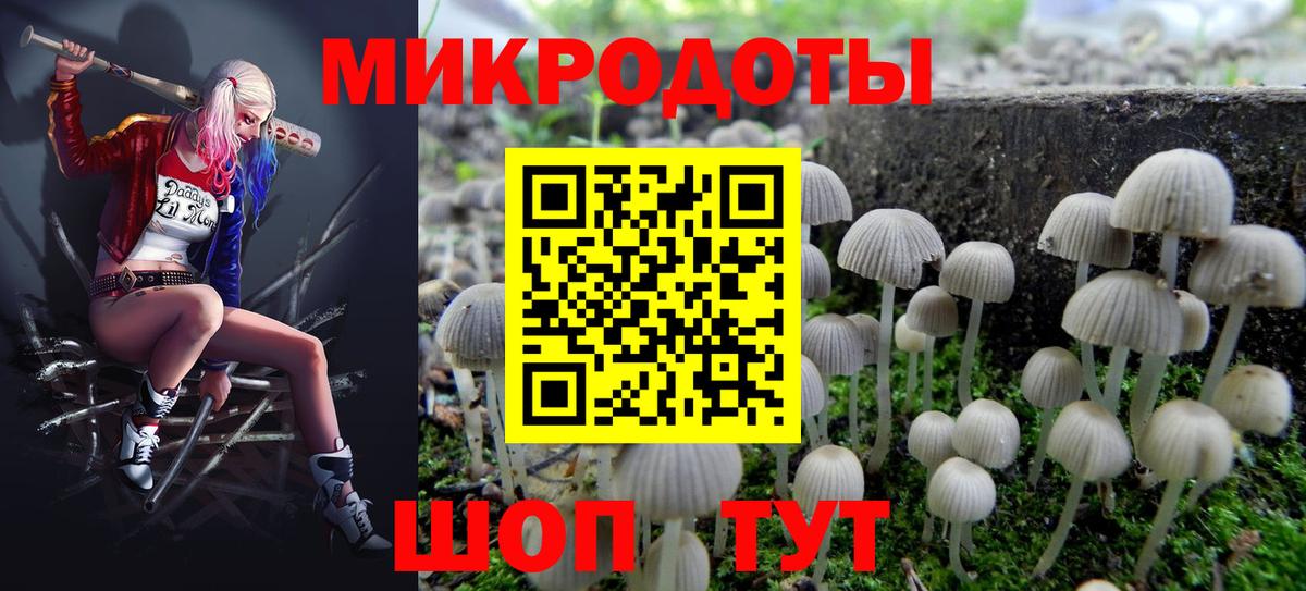 Псилоцибиновые грибы Cubensis Ульяновск